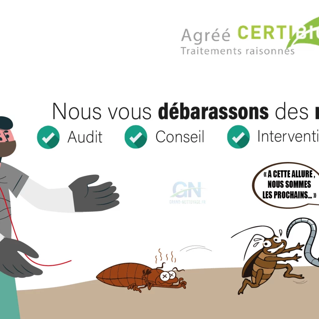 Comment se debarrasser des punaises de lit dans un matelas