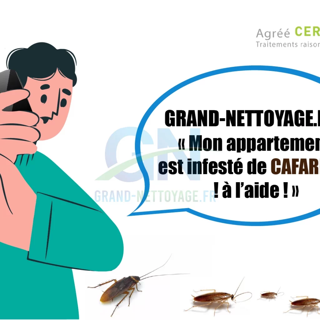 Nettoyage logement avec cafards