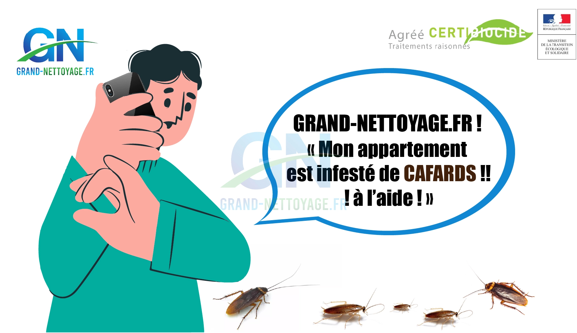 Nettoyage logement avec cafards
