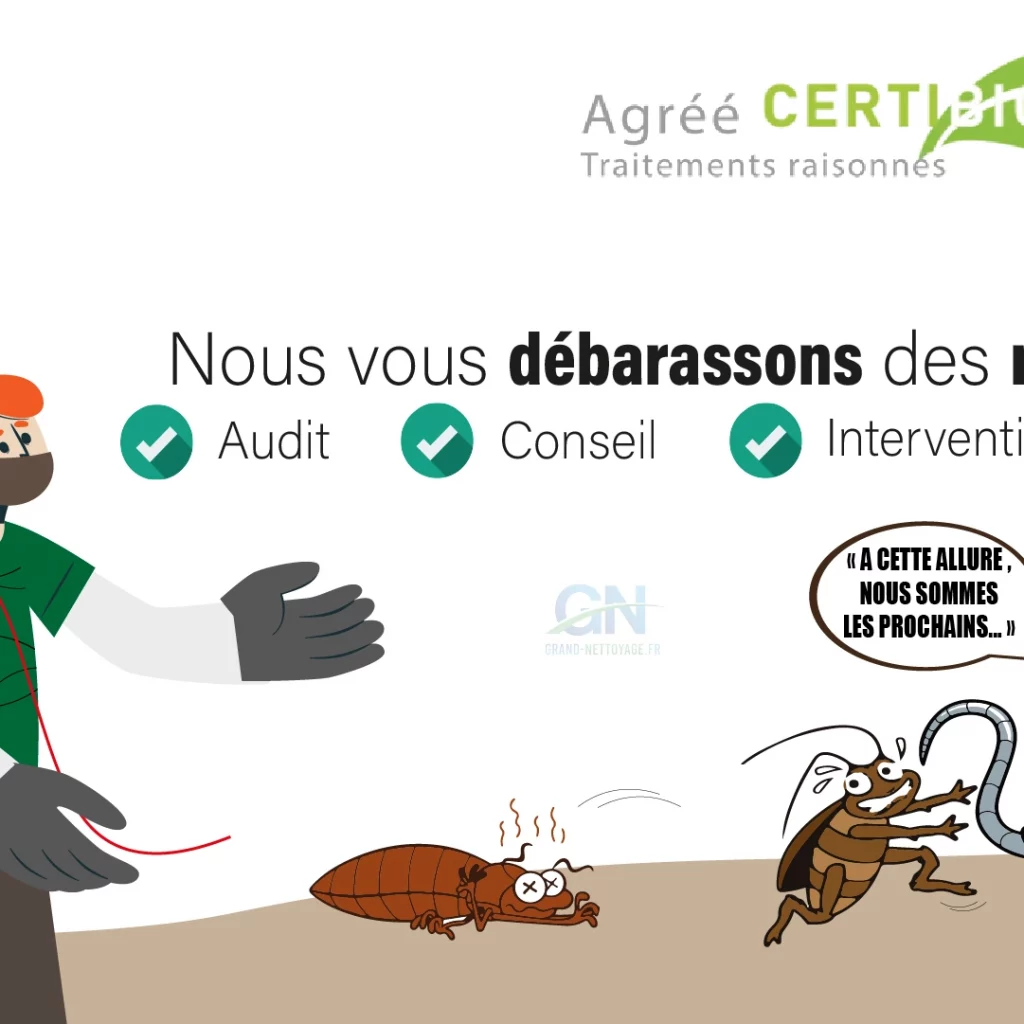 Nettoyage punaise de lit en France